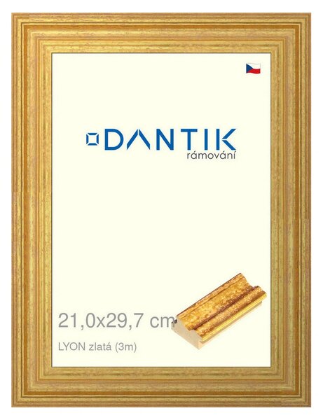 DANTIK rám na obraz 21x29,7 | LYON zlatá (Sklo Čiré)