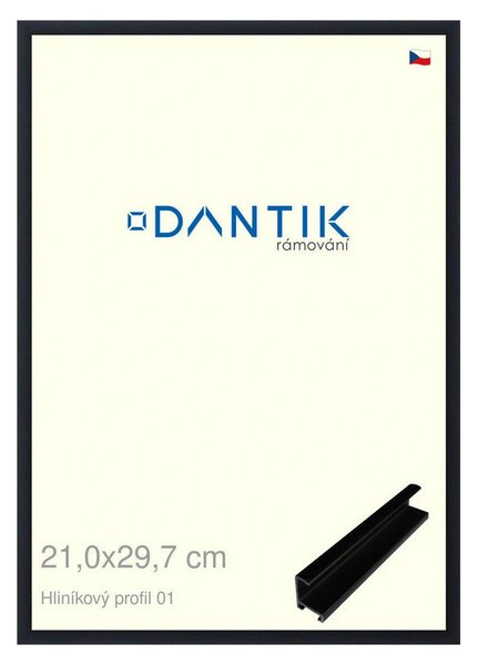 DANTIK rám na obraz 21x29,7 | ALU Černá matná (Sklo Čiré)