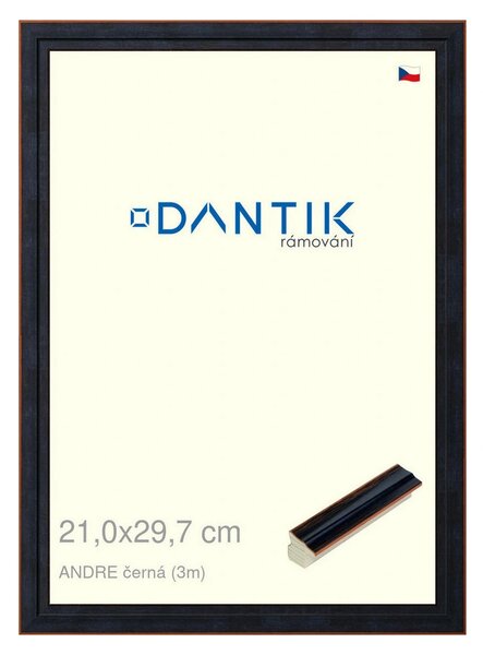 DANTIK rám na obraz 21x29,7 | ANDRE černá (Sklo Čiré)
