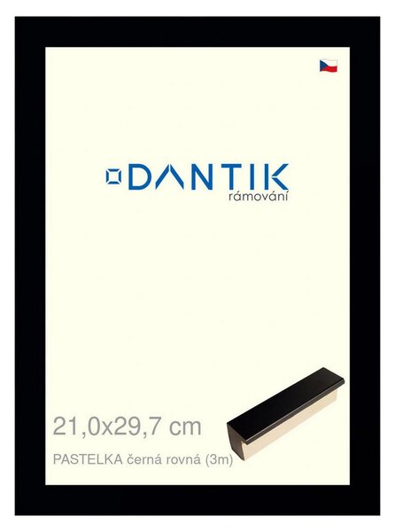 DANTIK rám na obraz 21x29,7 | PASTELKA černá rovná (Sklo Čiré)