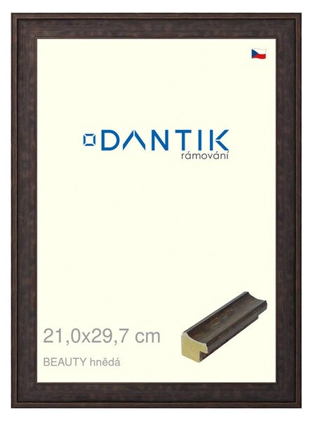 DANTIK rám na obraz 21x29,7 | BEAUTY hnědá (Sklo Čiré)