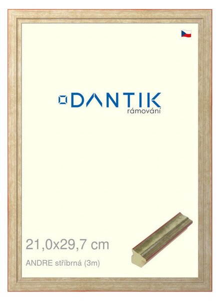 DANTIK rám na obraz 21x29,7 | ANDRE stříbrná (Sklo Čiré)