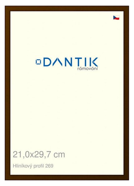 DANTIK rám na obraz 21x29,7 | ALU Hnědá umbra broušená (Sklo Čiré)