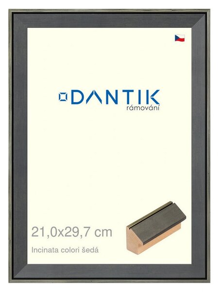 DANTIK rám na obraz 21x29,7 | INCLINATA colori šedá (Sklo Čiré)