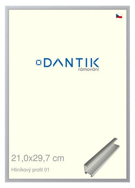 DANTIK rám na obraz 21x29,7 | ALU Stříbrná matná (Sklo Čiré)