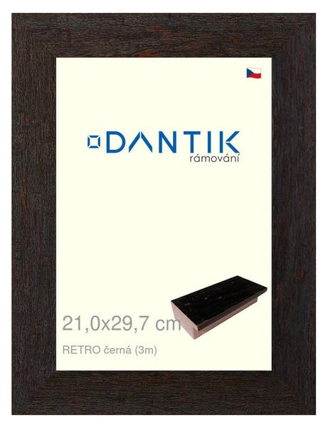 DANTIK rám na obraz 21x29,7 | RETRO černá (Sklo Čiré)
