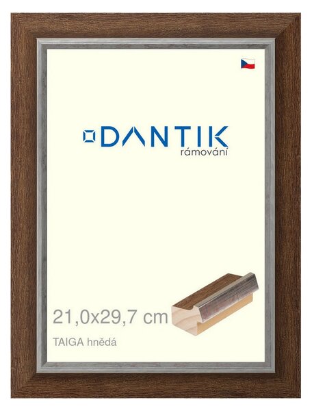 DANTIK rám na obraz 21x29,7 | TAIGA hnědá (Sklo Čiré)