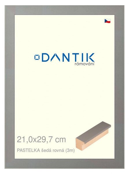 DANTIK rám na obraz 21x29,7 | PASTELKA šedá rovná (Sklo Čiré)