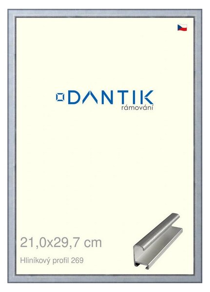 DANTIK rám na obraz 21x29,7 | ALU Sstříbrná broušená (Sklo Čiré)