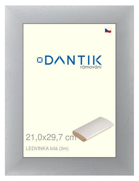 DANTIK rám na obraz 21x29,7 | LEDVINKA bílá (Sklo Čiré)