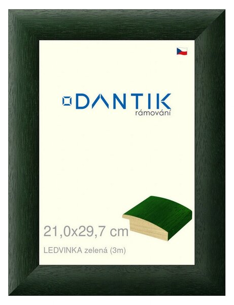 DANTIK rám na obraz 21x29,7 | LEDVINKA zelená (Sklo Čiré)