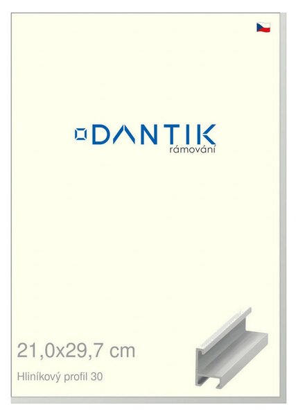 DANTIK rám na obraz 21x29,7 | ALU Bílá matná (Sklo Čiré)
