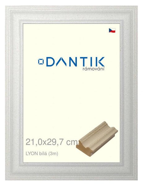 DANTIK rám na obraz 21x29,7 | LYON Bílá (Sklo Čiré)