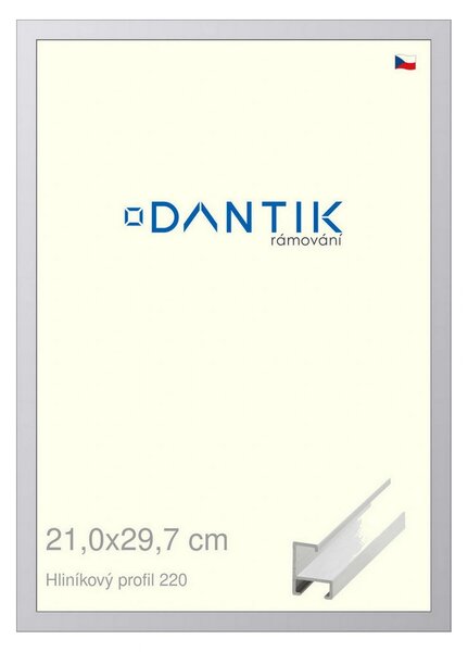 DANTIK rám na obraz 21x29,7 | ALU Bílá matná (Sklo Čiré)