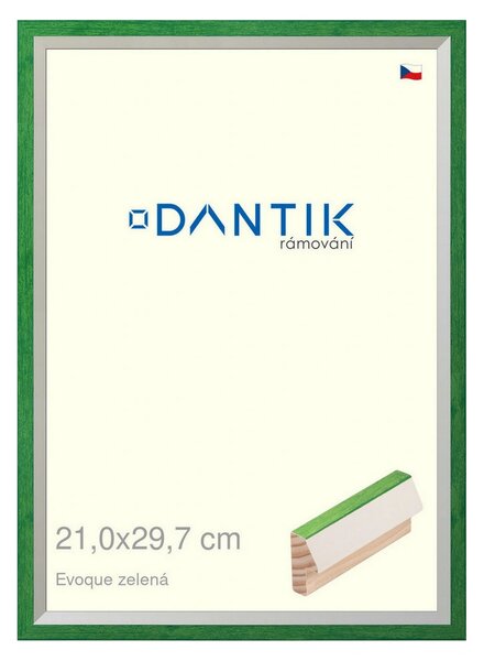 DANTIK rám na obraz 21x29,7 | EVOQUE zelená (Sklo Čiré)