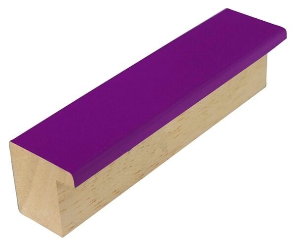 DANTIK rám na obraz 21x29,7 | PASTELKA fialová rovná (Sklo Čiré)