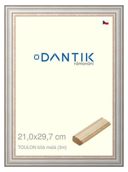 DANTIK rám na obraz 21x29,7 | TOULON bílá malá (Sklo Čiré)