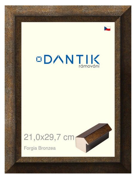 DANTIK rám na obraz 21x29,7 | Forgia Bronzea (Sklo Čiré)