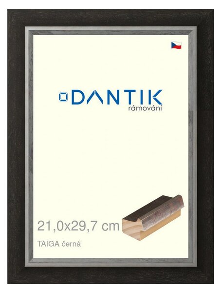 DANTIK rám na obraz 21x29,7 | TAIGA černá (Sklo Čiré)