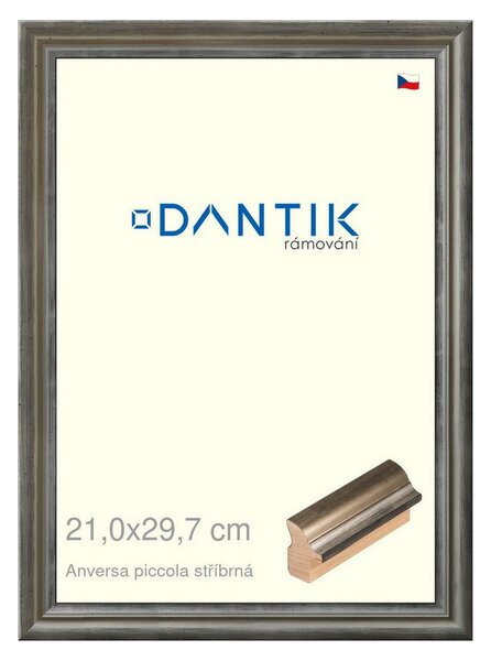 DANTIK rám na obraz 21x29,7 | ANIVERSA piccola stříbrná (Sklo Čiré)