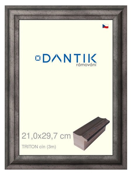 DANTIK rám na obraz 21x29,7 | TRITON cín (Sklo Čiré)