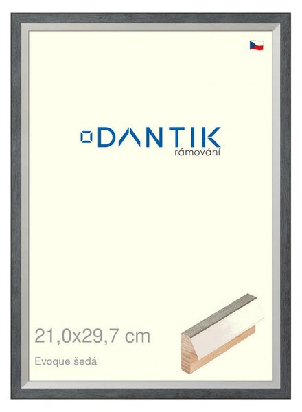 DANTIK rám na obraz 21x29,7 | EVOQUE šedá (Sklo Čiré)
