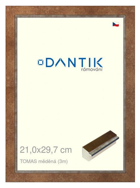 DANTIK rám na obraz 21x29,7 | TOMAS měděná (Sklo Čiré)