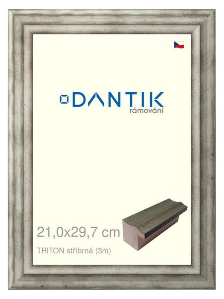 DANTIK rám na obraz 21x29,7 | TRITON stříbrná (Sklo Čiré)