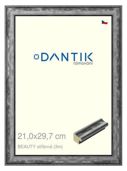 DANTIK rám na obraz 21x29,7 | BEAUTY stříbrná (Sklo Čiré)
