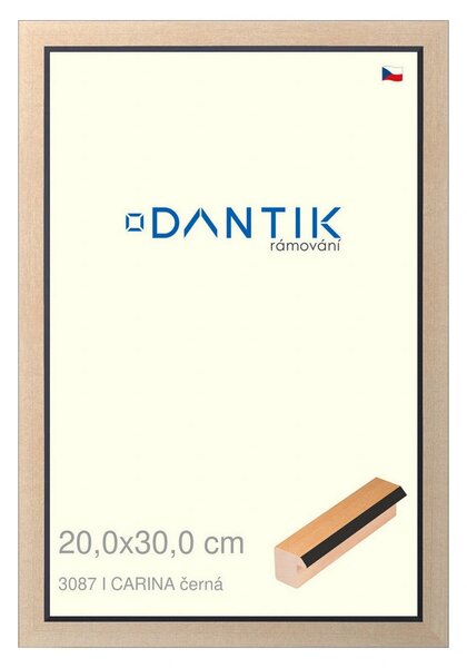 DANTIK rám na obraz 20x30 | CARINA černá (Sklo Čiré)