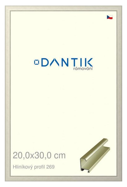 DANTIK rám na obraz 20x30 | ALU zlatá matná (Sklo Čiré)
