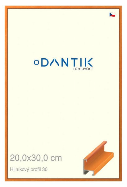 DANTIK rám na obraz 20x30 | ALU Dýha barevná oranžová (Sklo Čiré)