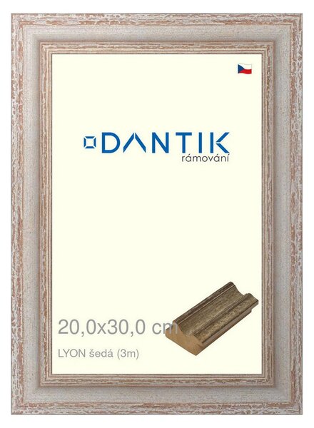 DANTIK rám na obraz 20x30 | LYON šedá (Sklo Čiré)
