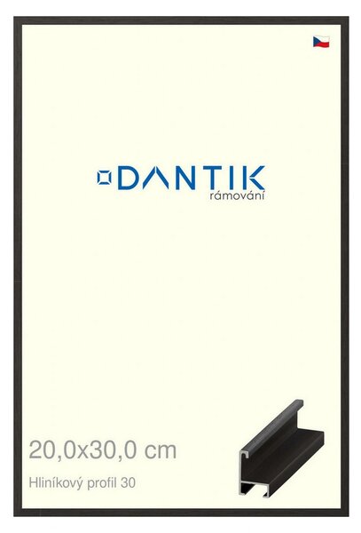 DANTIK rám na obraz 20x30 | ALU Dýha černá (Sklo Čiré)