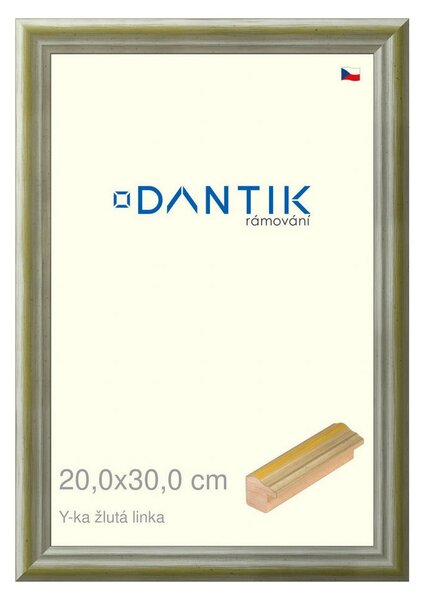 DANTIK rám na obraz 20x30 | Y-ka žlutá linka (Sklo Čiré)