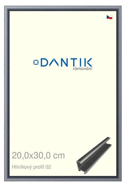 DANTIK rám na obraz 20x30 | ALU Platina matná (Sklo Čiré)