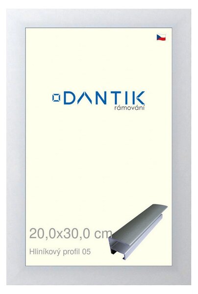 DANTIK rám na obraz 20x30 | ALU Stříbrná matná (Sklo Čiré)