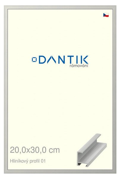 DANTIK rám na obraz 20x30 | ALU Stříbrná matná (Sklo Čiré)