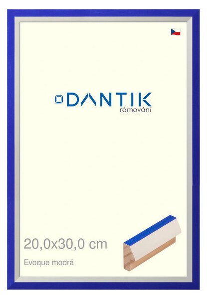 DANTIK rám na obraz 20x30 | EVOQUE modrá (Sklo Čiré)