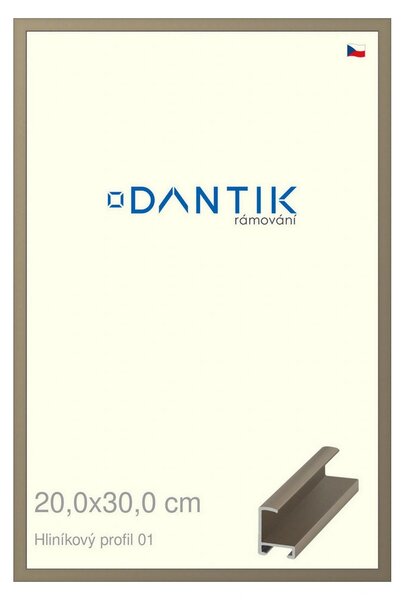 DANTIK rám na obraz 20x30 | ALU champagne (Sklo Čiré)