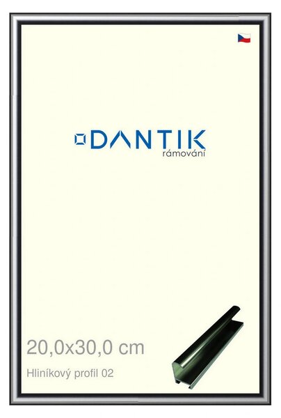 DANTIK rám na obraz 20x30 | ALU Šedá leská (Sklo Čiré)