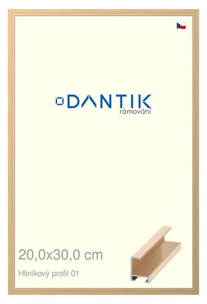 DANTIK rám na obraz 20x30 | ALU Zlatá lesklá (Sklo Čiré)