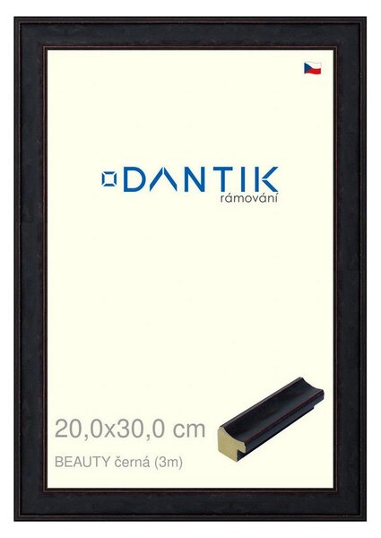 DANTIK rám na obraz 20x30 | BEAUTY černá (Sklo Čiré)