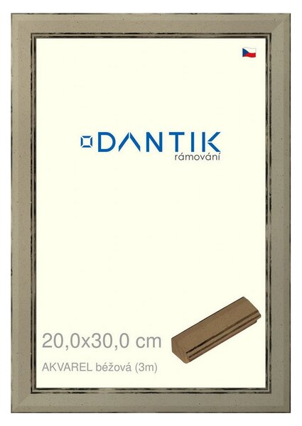 DANTIK rám na obraz 20x30 | AKVAREL béžová (Sklo Čiré)