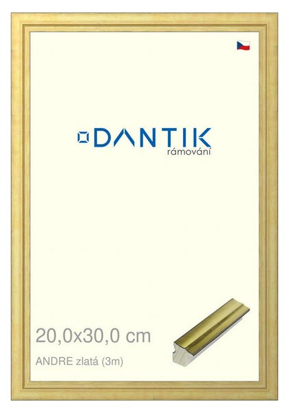 DANTIK rám na obraz 20x30 | ANDRE zlatá (Sklo Čiré)