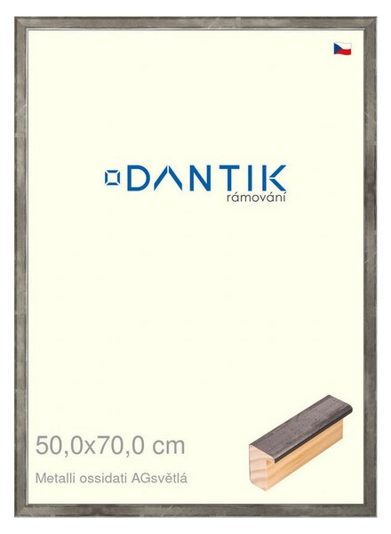 DANTIK rám na obraz 50x70 | Metalli oidati AGsvětlá (Plexi Čiré)