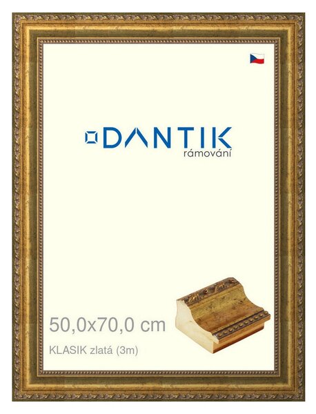DANTIK rám na obraz 50x70 | KLASIK zlatá (Plexi Čiré)