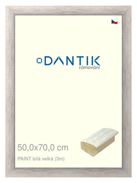 DANTIK rám na obraz 50x70 | PAINT bílá velká (Plexi Čiré)