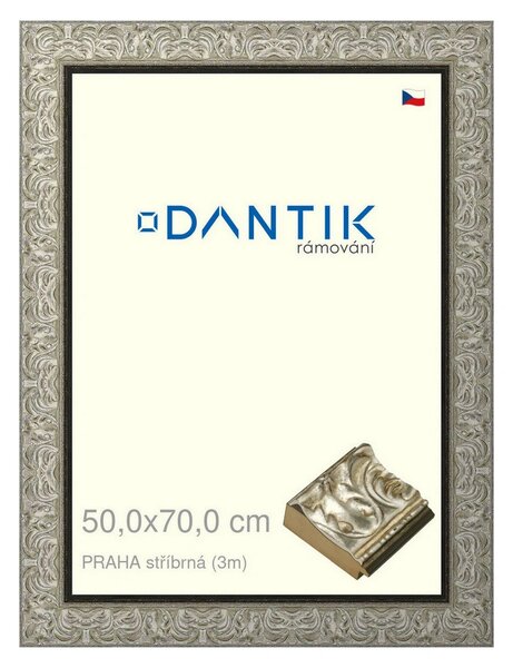 DANTIK rám na obraz 50x70 | PRAHA stříbrná (Plexi Čiré)