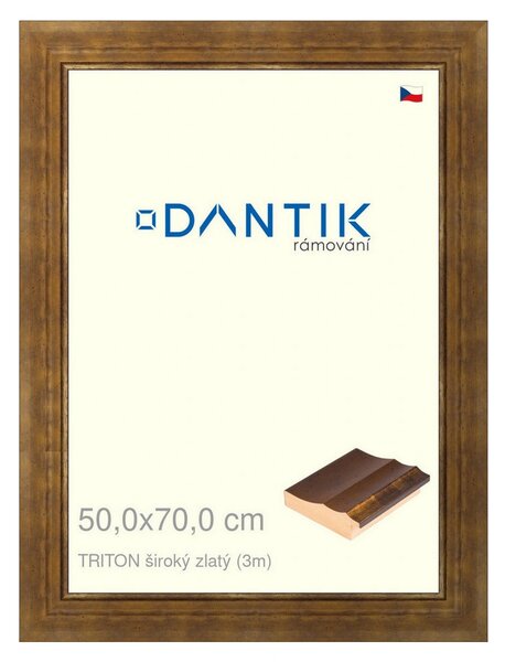 DANTIK rám na obraz 50x70 | TRITON široký zlatý (Plexi Čiré)